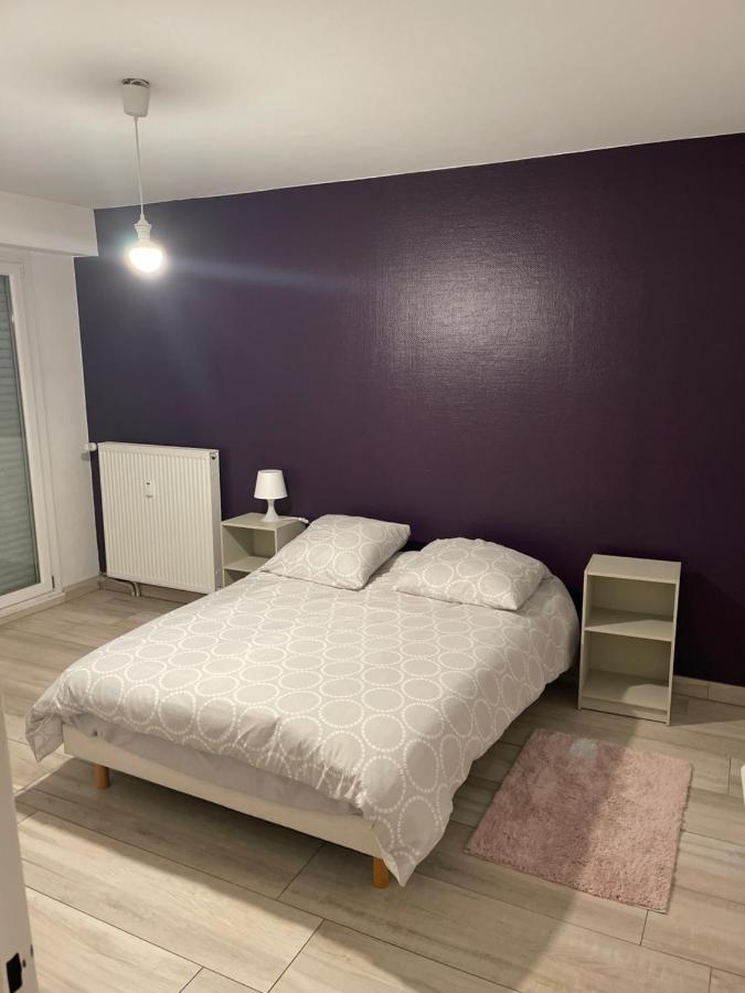 Superbe Appartement Avec Place De Parking Gratuit Straßburg Exterior foto